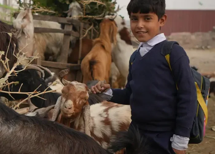 Pakistan-VacipKurban-1-OneCikan